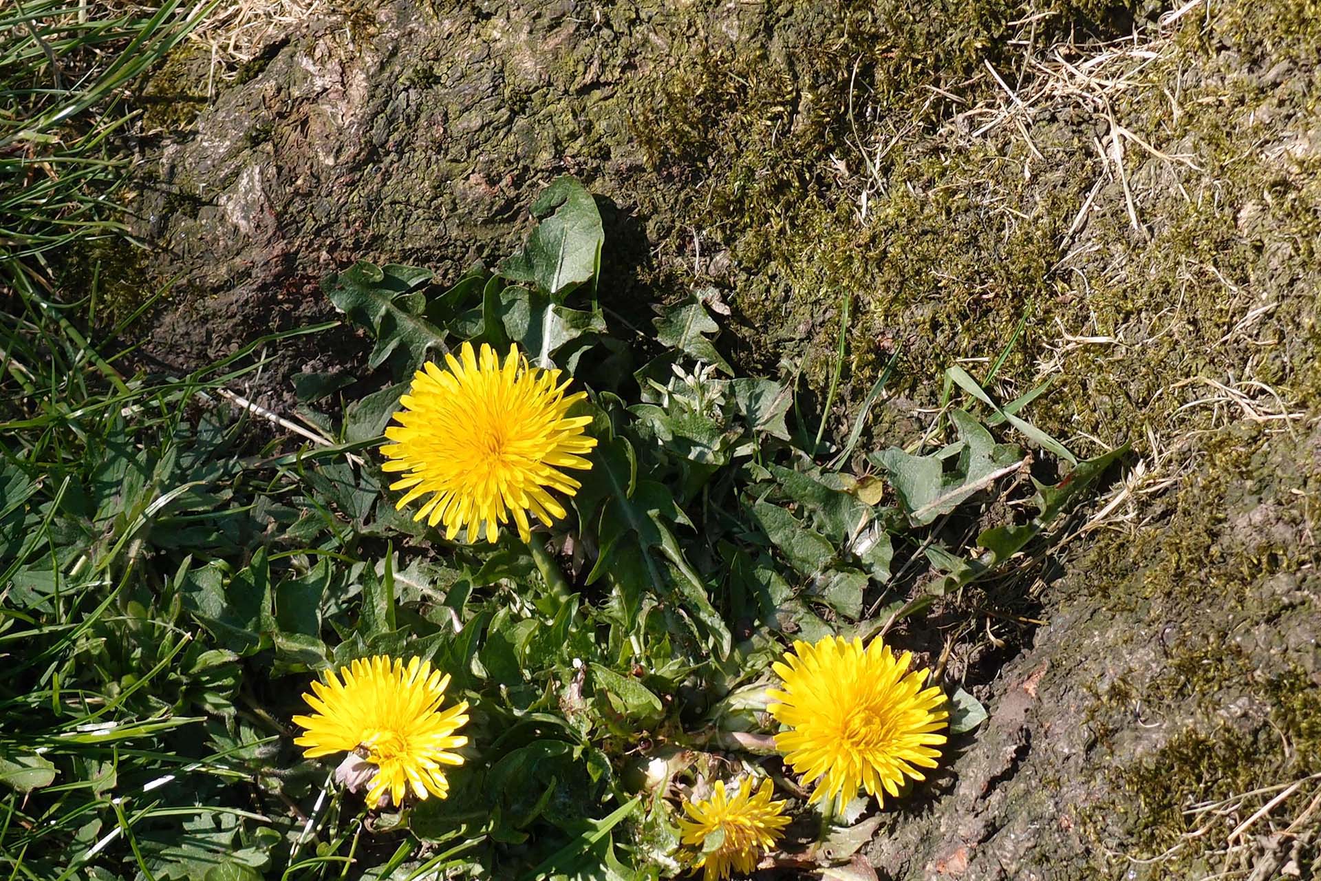 easter in the lakes 2014-5
