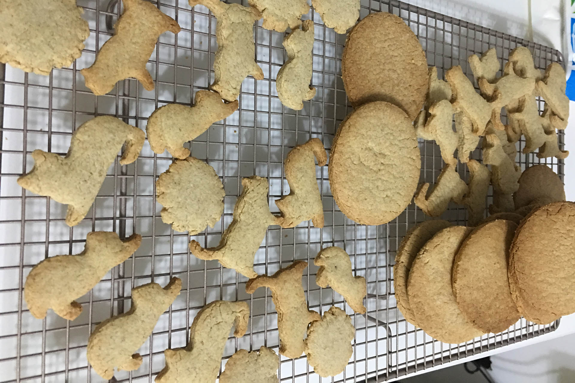 oatmeal cookies