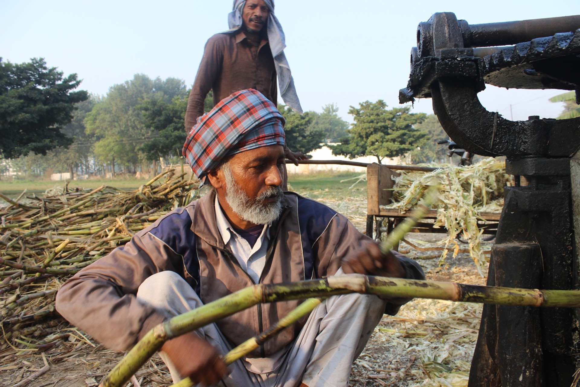 jaggery sugar making